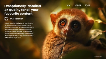 Hisense 75'' 4K UHD Smart Google TV 75A6500N A6500N Series Television