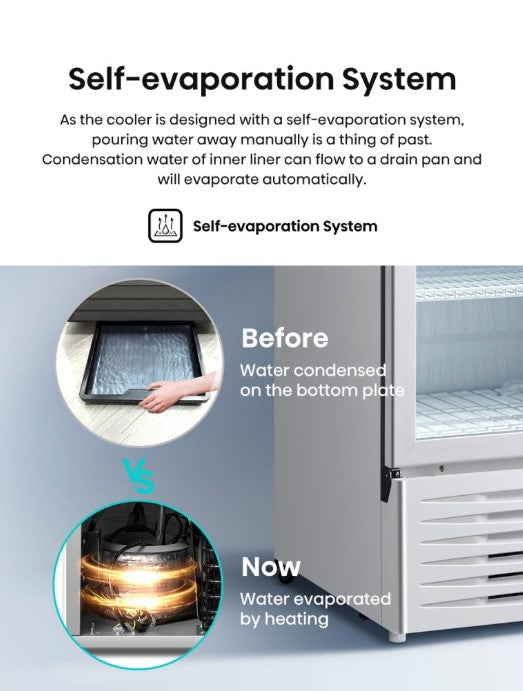Hisense 320L Commercial Chiller EXHSC-320FLG / EXHSC320FLG Self Evaporate Fridge