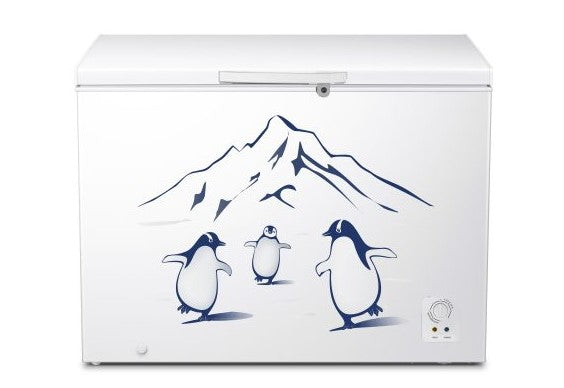 Hisense 350L Chest Freezer 8 In 1 Function FC428D4BWYS (White)