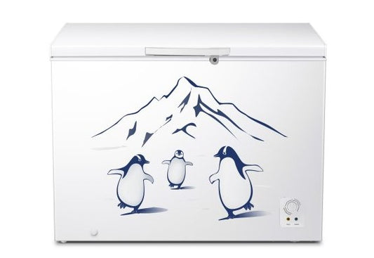 Hisense 350L Chest Freezer 8 In 1 Function FC428D4BWYS (White)
