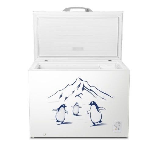Hisense 350L Chest Freezer 8 In 1 Function FC428D4BWYS (White)