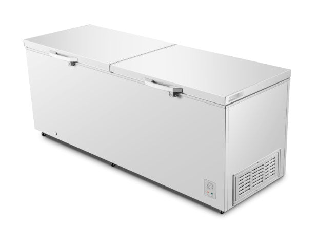 Hisense Gross Chest Freezer White (780L) FC900D4BWBP