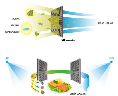 Toshiba Refrigerator 661L GR-AG66MA (XK) Inverter 2 Doors Duo Hybrid GRAG66MAXK Fridge
