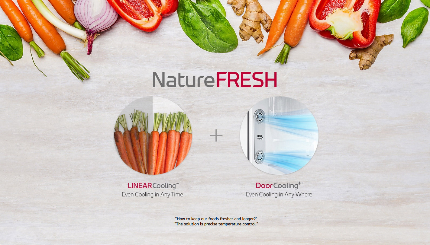 LG GR-H802HQHM 602L 2 Door Top Freezer Fridge in Black Metal Finish