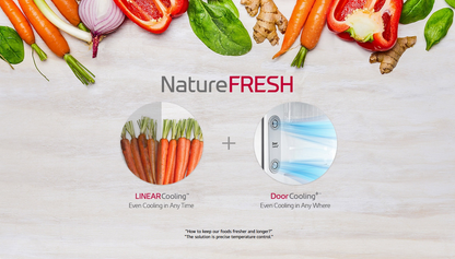 LG GR-H802HQHM 602L 2 Door Top Freezer Fridge in Black Metal Finish