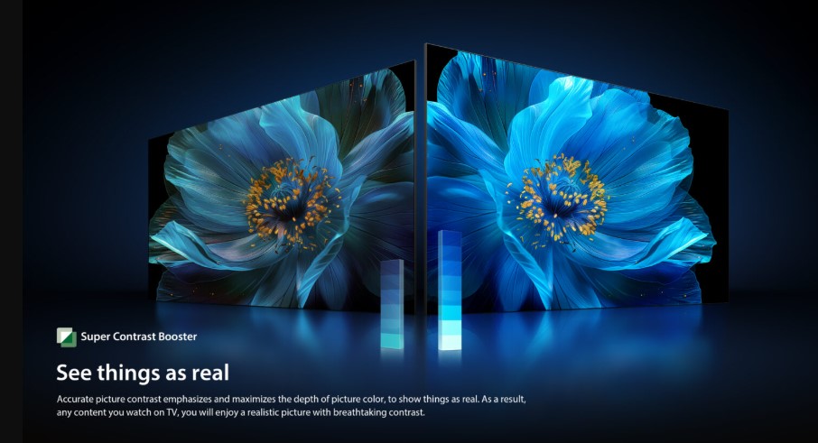 Toshiba 65" 4K UHD M450NP Quantum Dot Smart TV 65M450NP