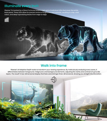 Hisense QLED TV Q6N 75" 75Q6N