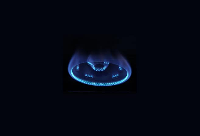 Rinnai Ri522MM Double Gas Stove Double RI-522MM Mega Burner 4.8kW Dapur Gas