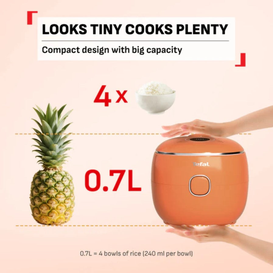 Tefal POP Rice Cooker Eucalyptus 0.7L (4 Cups) RK5354 Grey