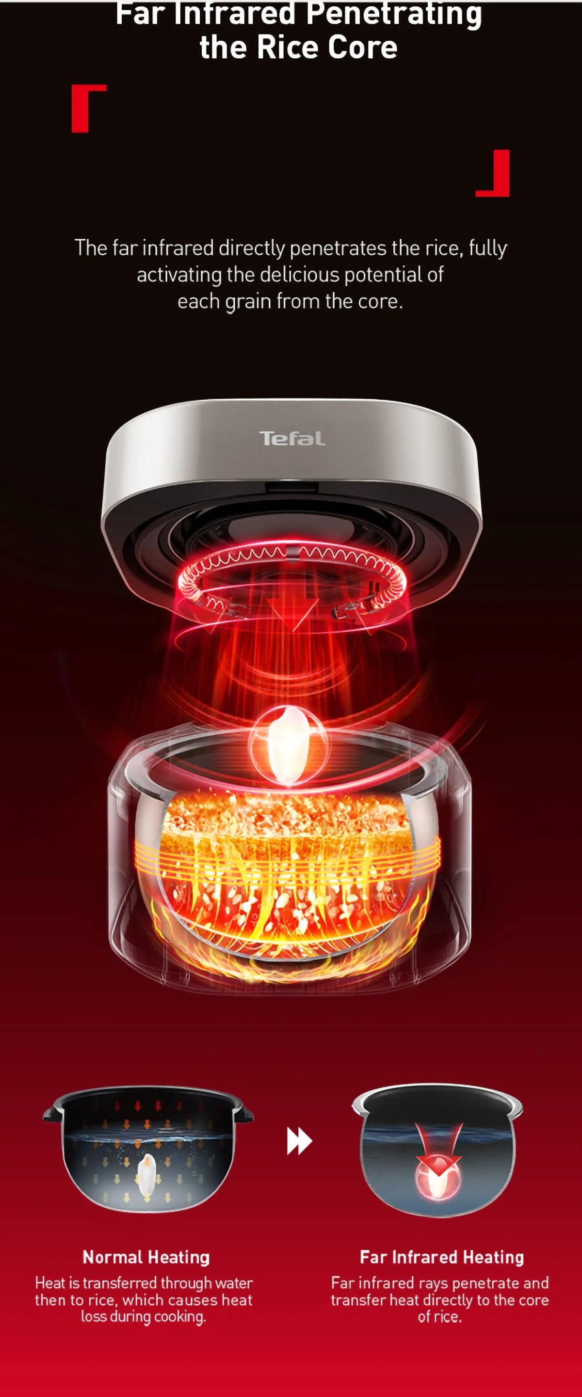 Tefal Mini Far Infrared IH Rice Cooker (0.6L) RK887F