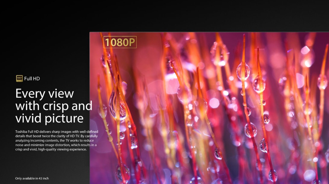 Toshiba 32" V31M Series 32V31MP HD LED Smart TV VIDAA Bezel-less Design Television