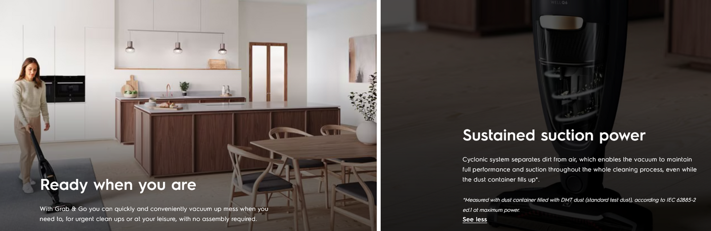 Electrolux WQ61-1OGG Well Q6 Self-Standing Cordless Vacuum Cleaner