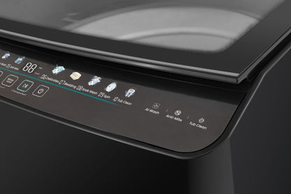 Hisense 13kg Top Load Washer Inverter Washing Machine WTJA1313UB