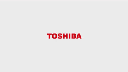 Toshiba 15KG AW-DUM1600LM(SG) Top Load Washer AWDUM1600LMSG
